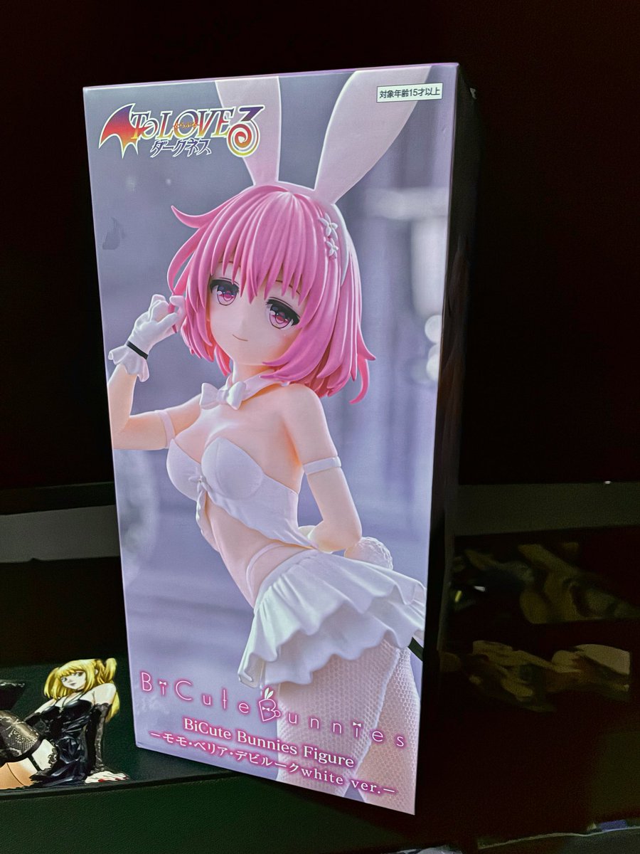 CorbinD47117769's tweet photo. My newest bunnygirl figure arrived today, this is one I’ve had my eye on since its announcement so I had to order one for myself. Amazing details all the way thru! #bunnygirls #animefigures #pvcfigures #figurecollection #waifuanime https://t.co/mdIjPLJ3rW