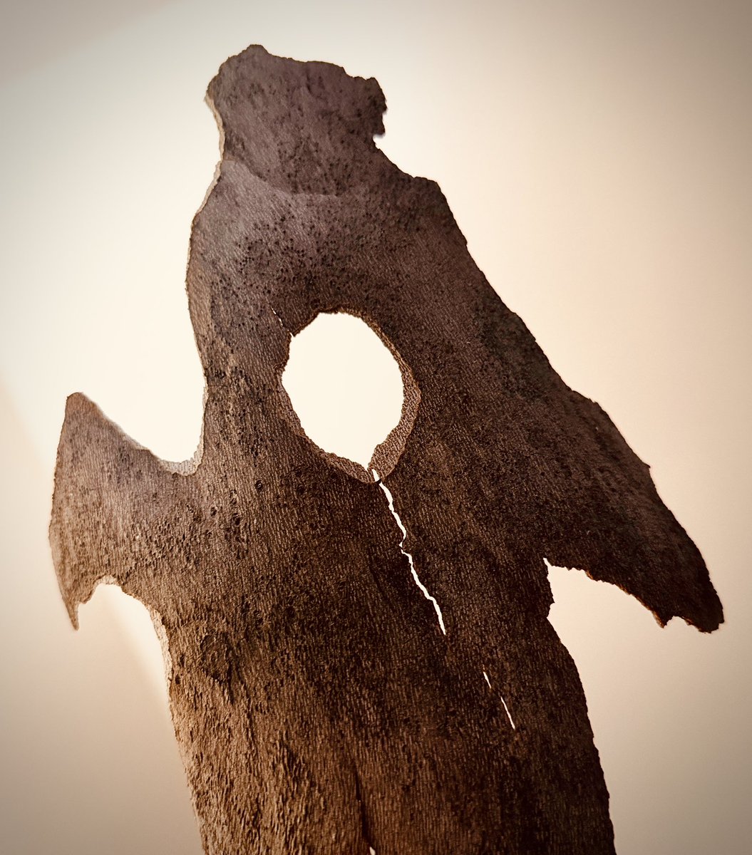 DAnnesEyes's tweet photo. I see a huge scary Grizzly Bear with an empty tummy and a cute teddy bear face. #TherapyThat 😎💜 #Bark #TreeAccessory #EnjoyYourViews https://t.co/PAjvAlMbDu