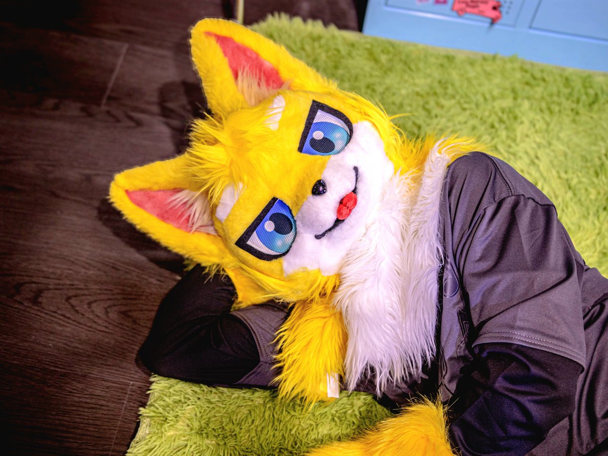 Edd_fur's tweet photo. #FursuitEverday
#FursuitFriday
#冒險日誌

뭐? 아무것도 안했는데 7월이 끝이라고? https://t.co/8lRn7Mpcoh