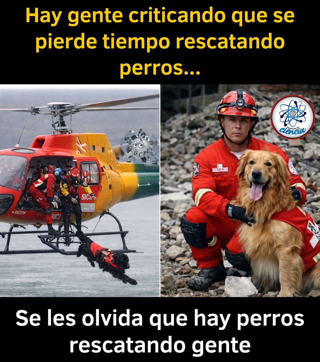 EnsedeCiencia's tweet photo. 🖤 https://t.co/a4mXUi8PKB