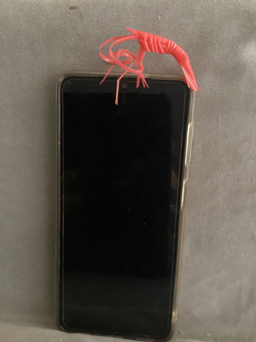 di_brennan's tweet photo. Daughter made me a prawn from a plastic straw she found in the kitchen junk drawer, put it on my phone for size, https://t.co/NgcB82K5nS