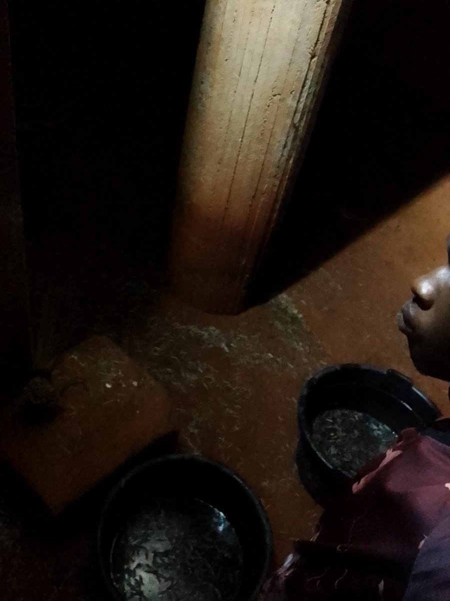 NeonKatanarip's tweet photo. I don rush go gather termite by 2am make hunger no come kill pesin.

At least morning food don sure https://t.co/9eaumrIIc0