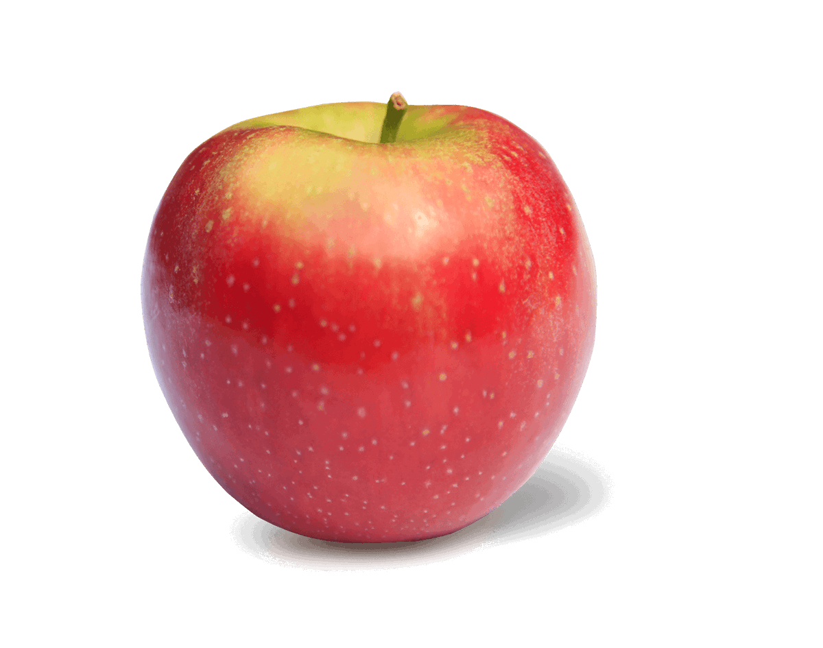 CrunchAndDotCom's tweet photo. @n0trib @TranslatedCats the picture might just be too low quality to tell but swear to GOD thats a peach yo https://t.co/e6Ibr8RtRy