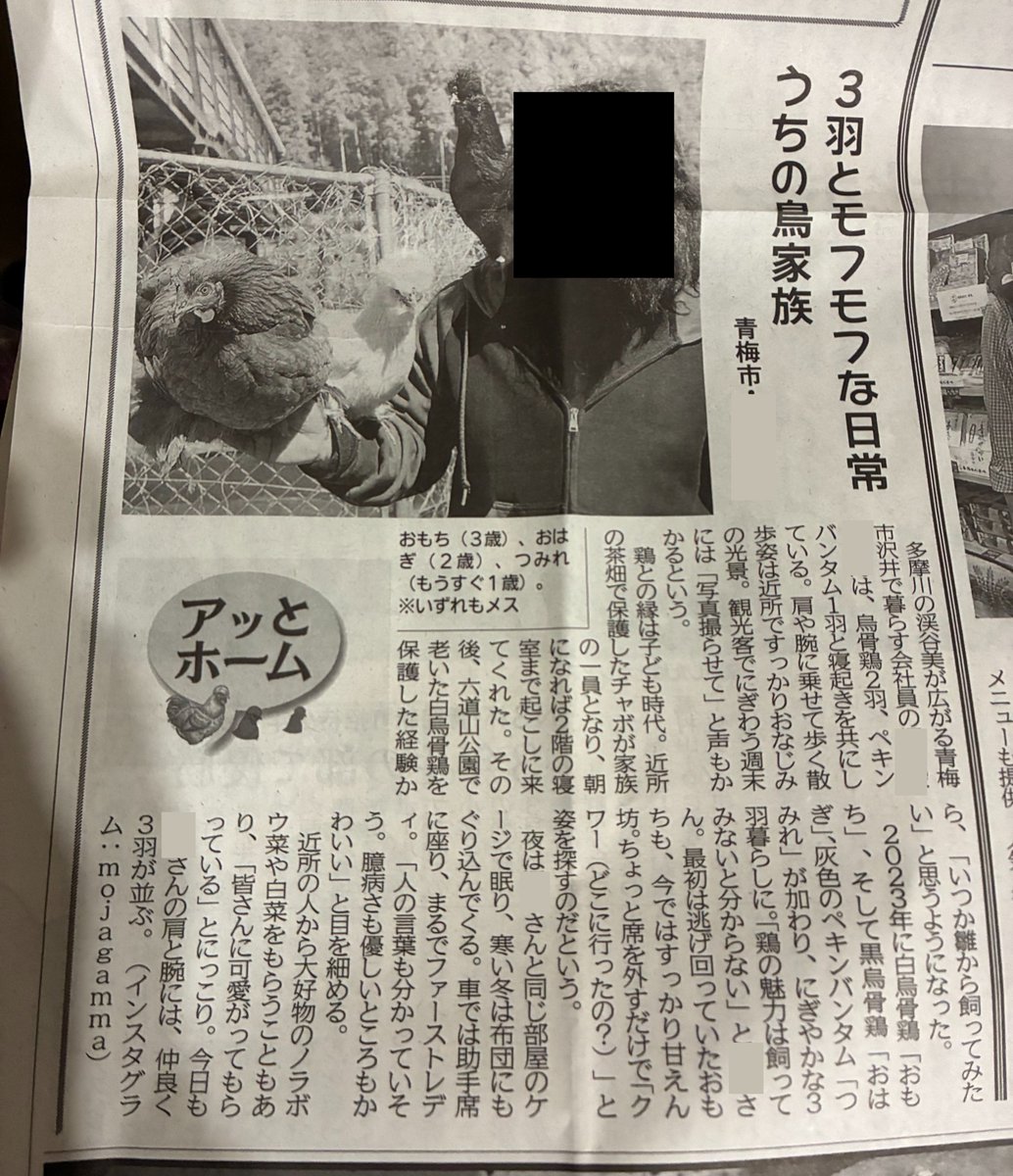 mojagamma's tweet photo. @ometsu_net 紹介してもらった後、うちも来ましたよ。そんな悪気のあることでもない単なる慣例な気がしますよ。 https://t.co/wTd2JzxLpY