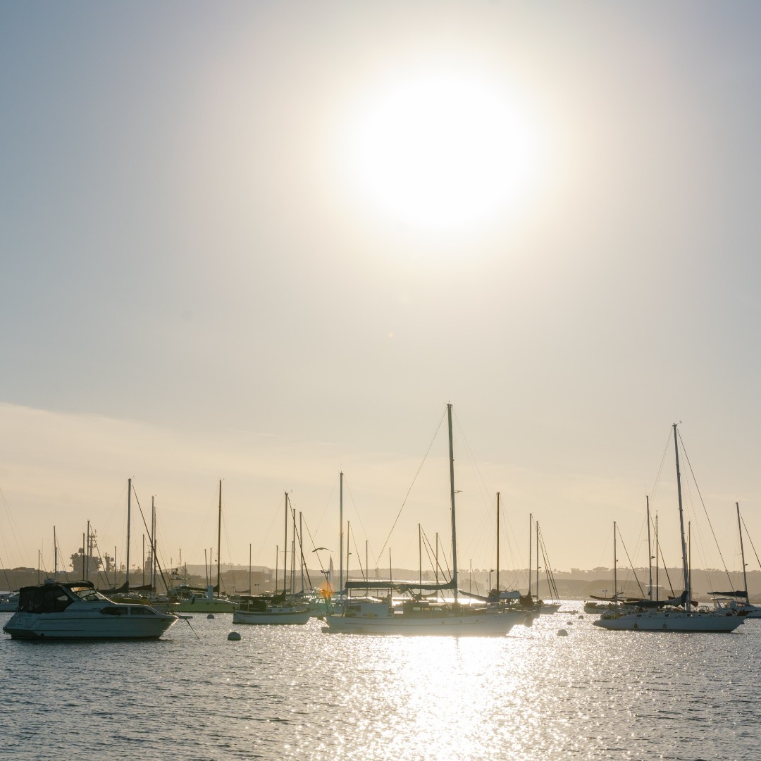 BlocksMartin's tweet photo. San Diego shines with ships and sun🏝 https://t.co/FTD0UFgThY