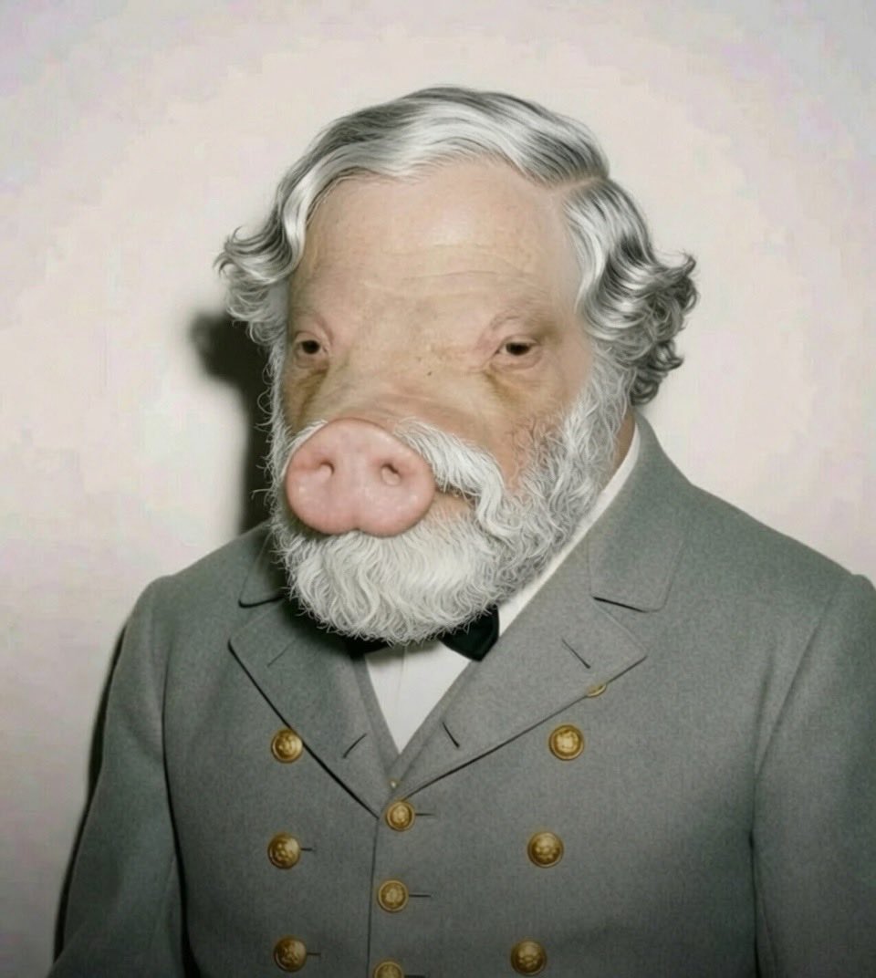 DoktorNFC's tweet photo. Confederate Wigger Pigs https://t.co/cBFBUqgoIl