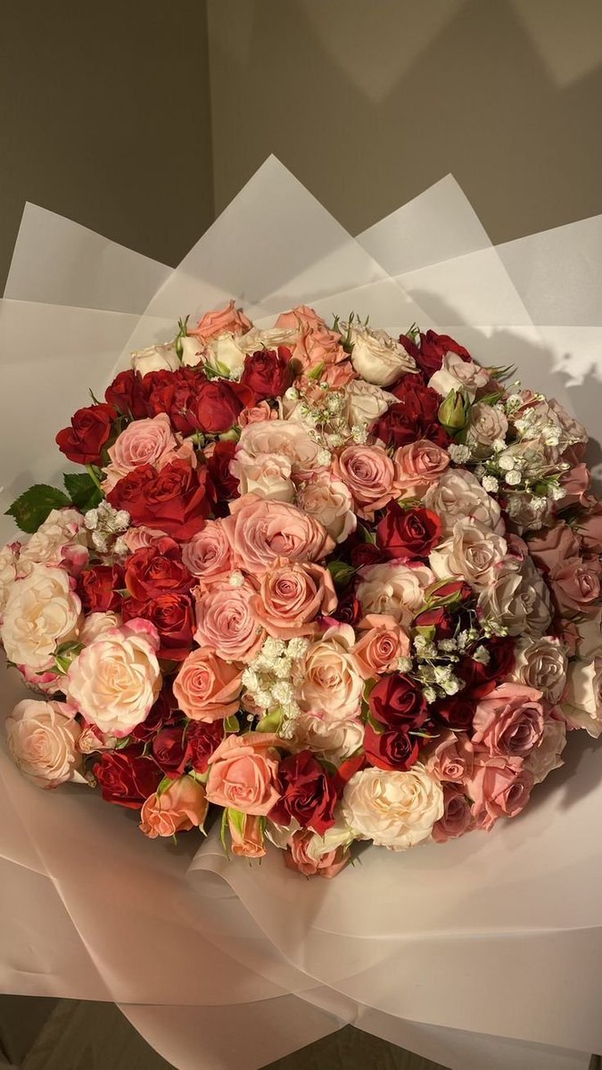 floraldiaryyy's tweet photo. https://t.co/j5OCJXLGMu