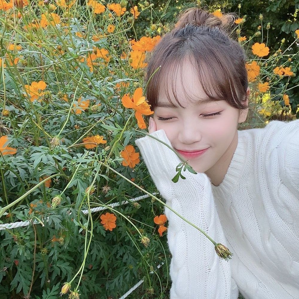 archivedkcw's tweet photo. happiest birthday kim chaewon! 🐯

it feels like a special privilege to be able to follow and grow up with you from the teenager in pd48 to the idol you blossomed to be 8 years later. thank you for constantly inspiring me with your endless hard work and confidence. 💚

TIME TO CELEBRATE CHAEWON
#TimeToChaelebrate
#여름의인트로_김채원