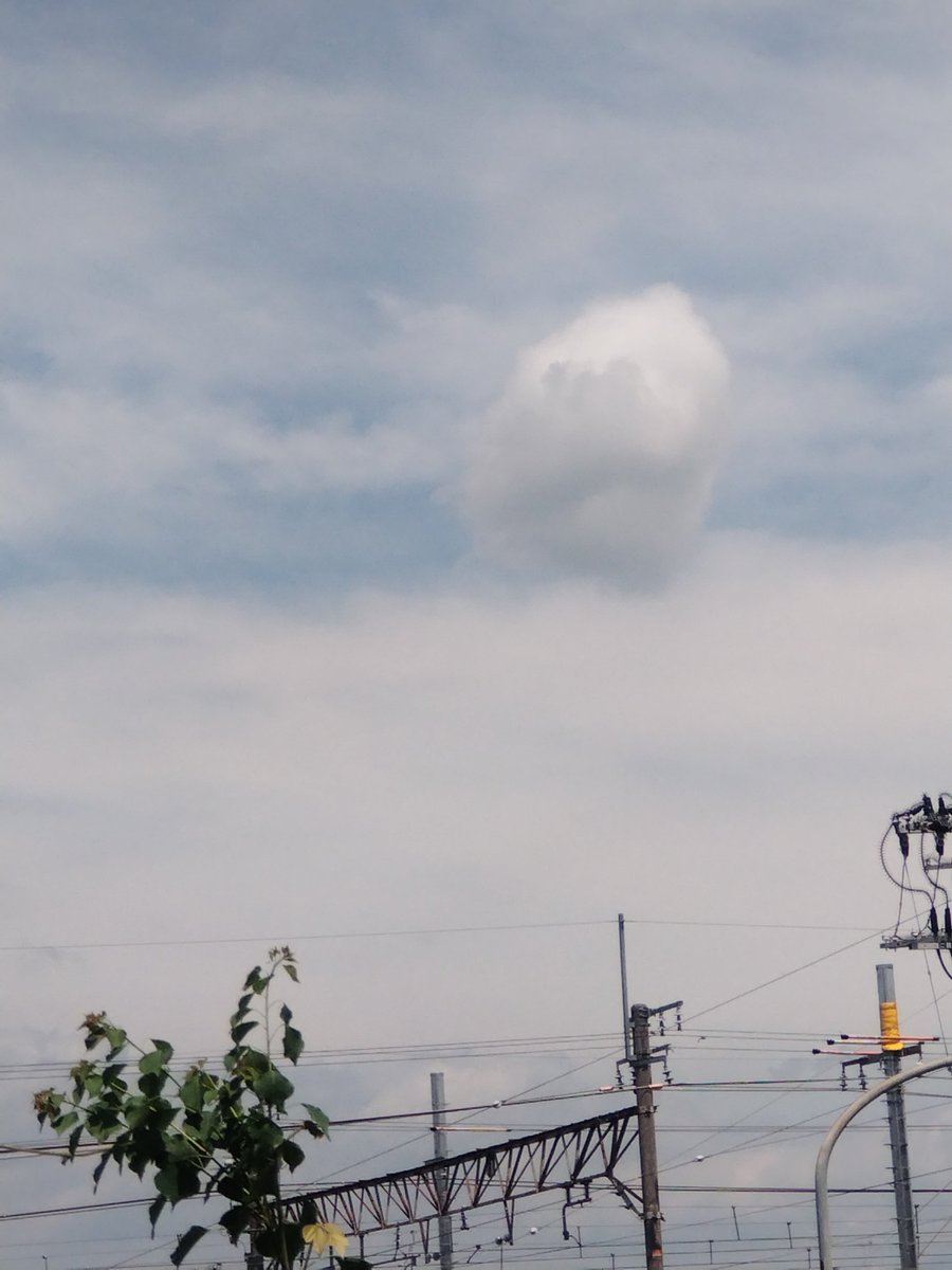 satokofukui's tweet photo. まるい雲がうかんでた◯ https://t.co/QHpzJqbeoH