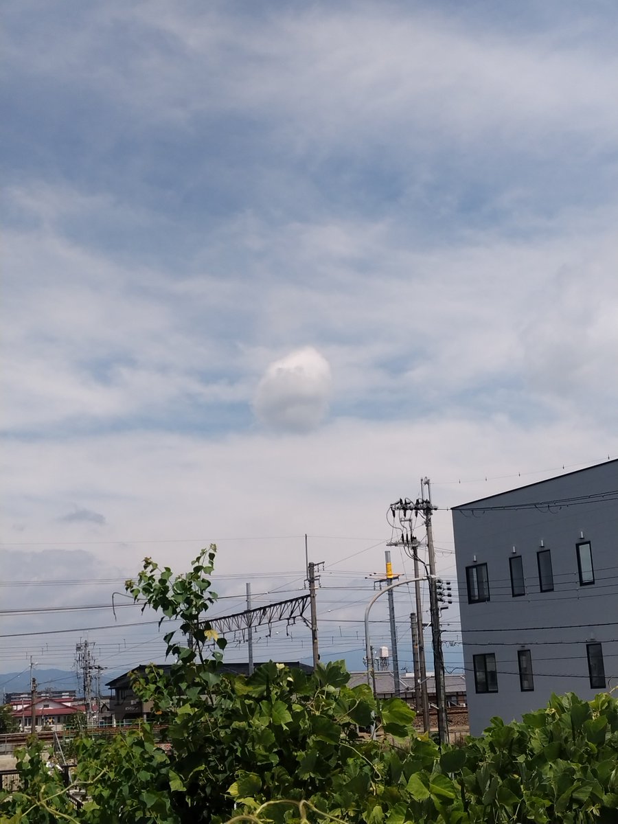 satokofukui's tweet photo. まるい雲がうかんでた◯ https://t.co/QHpzJqbeoH
