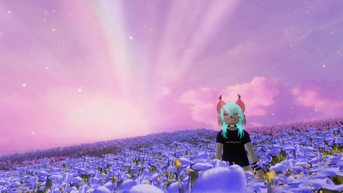 MTailmaw's tweet photo. @lillysworldsvr @VRChat one in the mayu as well https://t.co/S4dpe8HDVC