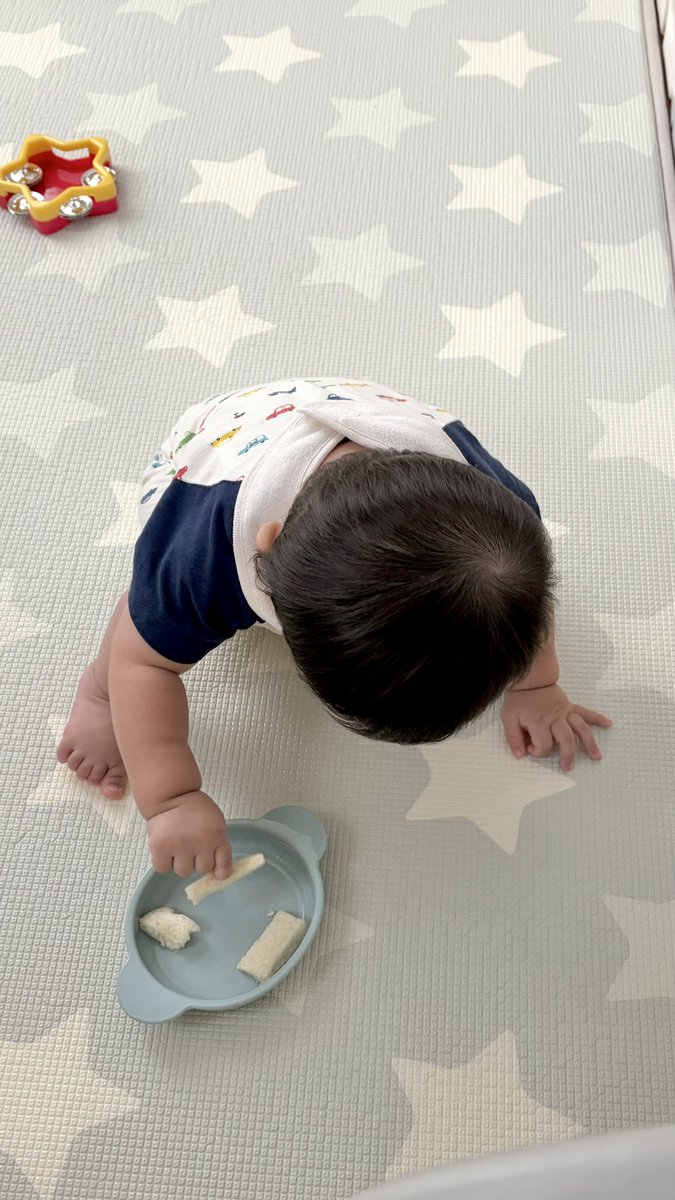 R2Vbv's tweet photo. 自分で食パンを食べることもできる赤ちゃん https://t.co/asKNqBJ2yZ