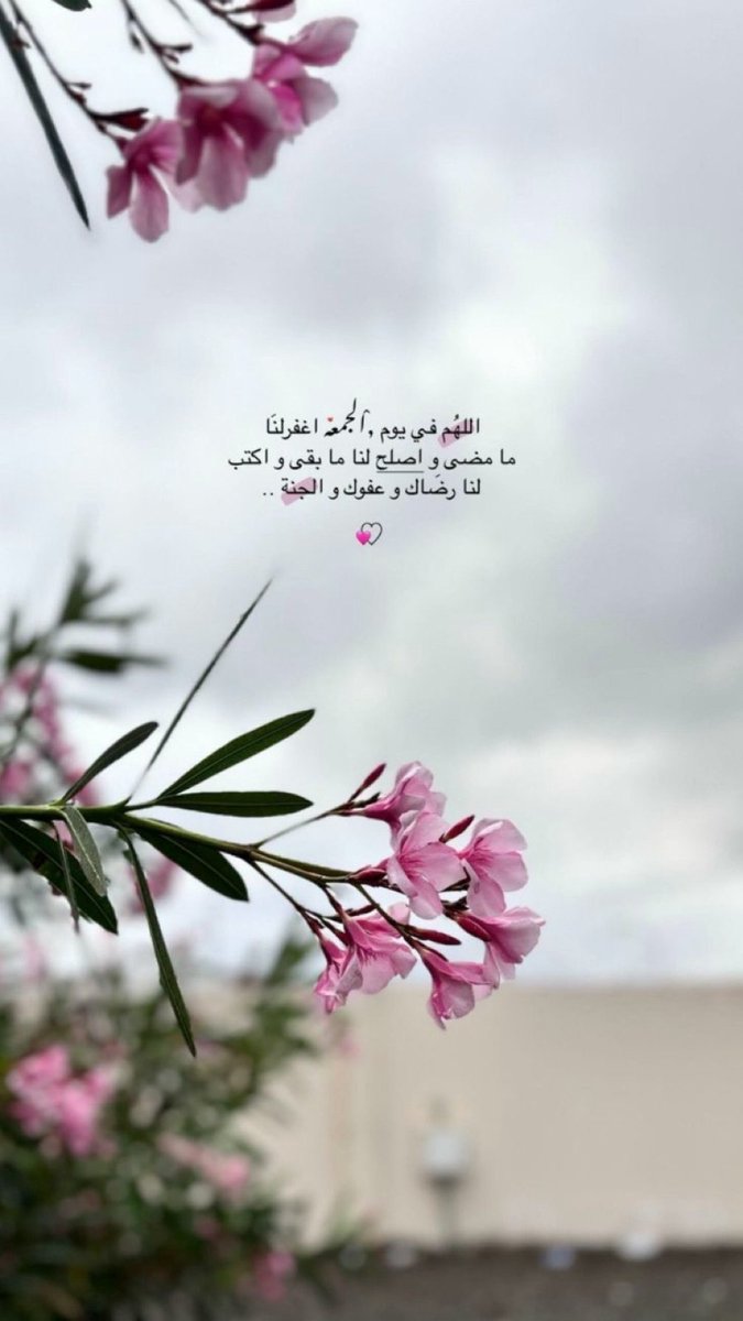 zh_3388's tweet photo. •••

من لنا في قلبه شيء من الحُب ،
 فليذكرنا بدعوة في هذا اليوم الفضيل … 

           🤍✨ https://t.co/SZCjV3UKi2