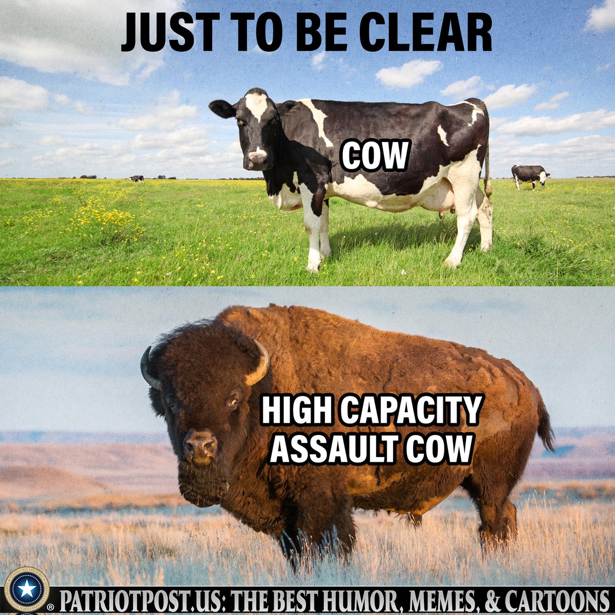 SmittysView's tweet photo. @angrymom80 @OughJeremy @News24Korea @09Topher12 @RealMrE_1 @Shawn4Trump76 @NowaysThoughts @StarxFire @youlivethrice @Vzladream @BobbyReader2 @RickD_GK @BigTimeBryan8 @bg76916 @Sheepdog267 @dapabri7 @BoxesofDollars @Jason77135561 Great list
Liked, reposted &amp; following all. https://t.co/nryjQryEwy
