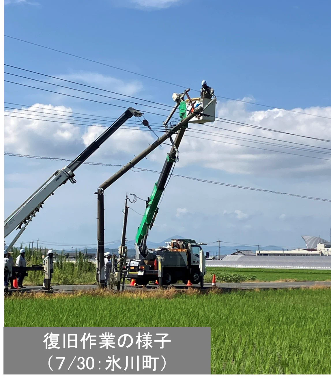 九州電力送配電株式会社【公式】 on X: 