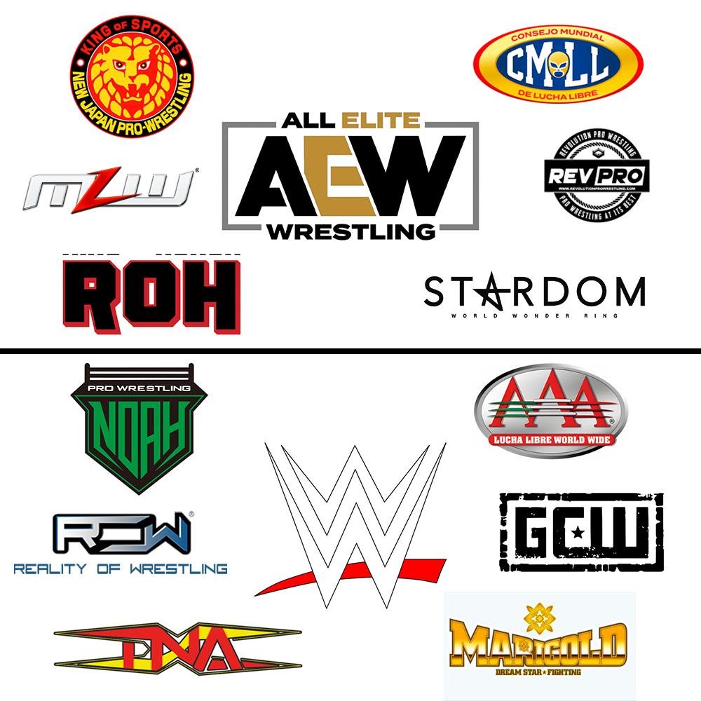 JoshChig's tweet photo. Dont let the big wigs in all these pro wrestling promotions fool you, from WWE, NXTNA, AAA, Evolve, AEW, NJPW, ROH, and more. They're all probably enjoyable promotions to wrestle for. 
My promotion on the Right stands alone though. There's another NGPW, but there's only 1 New Georgia Pro Wrestling.