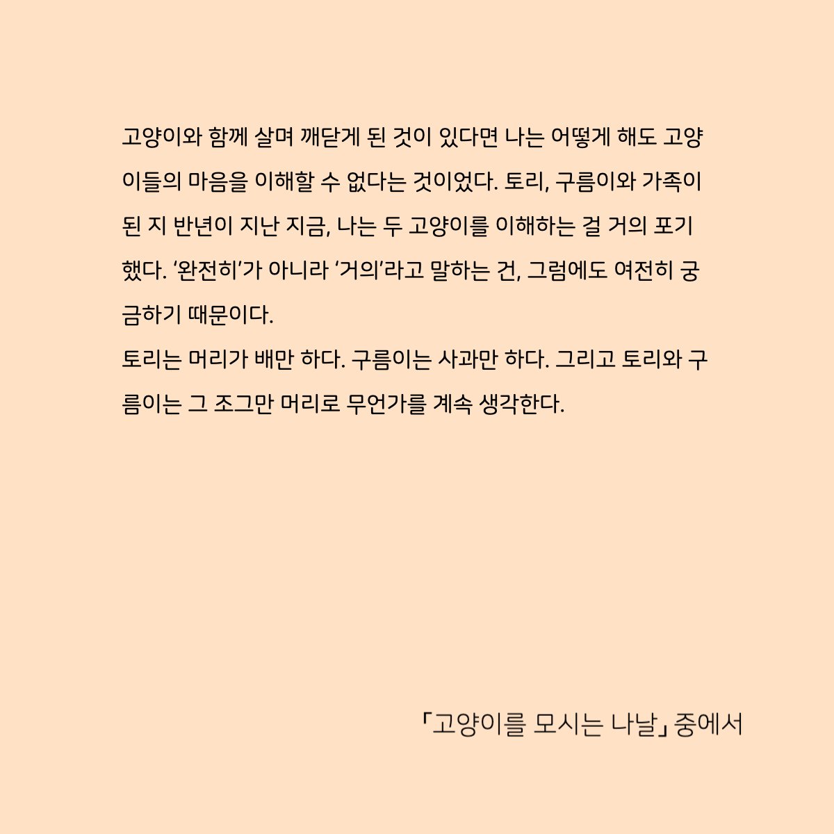 deumunletter's tweet photo. 어느새 벌써 7월의 마지막 날... 7월의 드문레터 잘 받아보셨나요? 지난주에는 서장원 작가님의 고양이사랑이 잔뜩 담긴 <토리와 구름이> 세 번째 이야기가 발송되었습니다. https://t.co/qw6L7ZE4kt