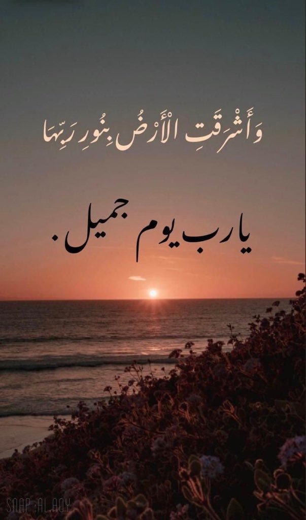 NAlderey's tweet photo. يا رب https://t.co/nKxaL1XVaG