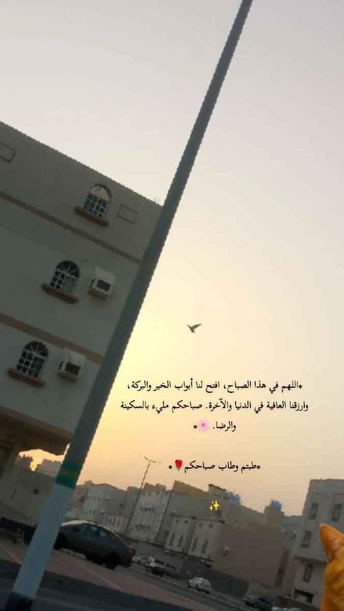 Maged4_otb's tweet photo. #صباح الخير على الجميع... https://t.co/0CsZT0blpR