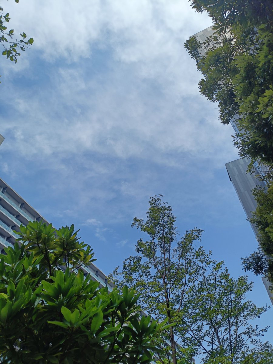 imapon0730's tweet photo. 今日は割かし雲があるから体感的には少しは涼しいかな(〜￣▽￣)〜
でも暑い🫠🫠🫠🫠🫠 https://t.co/gj22LZAwdY