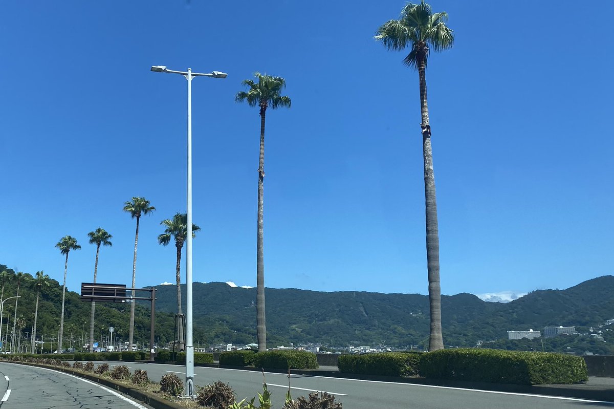 IzuMonsoon's tweet photo. 伊豆のアジアン家具、アジアン雑貨のモンスーンです。箱根��らは伊豆スカイラインで、湯河原、熱海からは国道135号線で、沼津、三島からは伊豆縦貫道で、お気をつけてお越し下さい。#伊豆旅行 #熱海旅行 #伊東観光 #熱海観光 #ファッション #アジアン #エスニック #インドサリー #巻きスカート https://t.co/YQeKEEwt8B