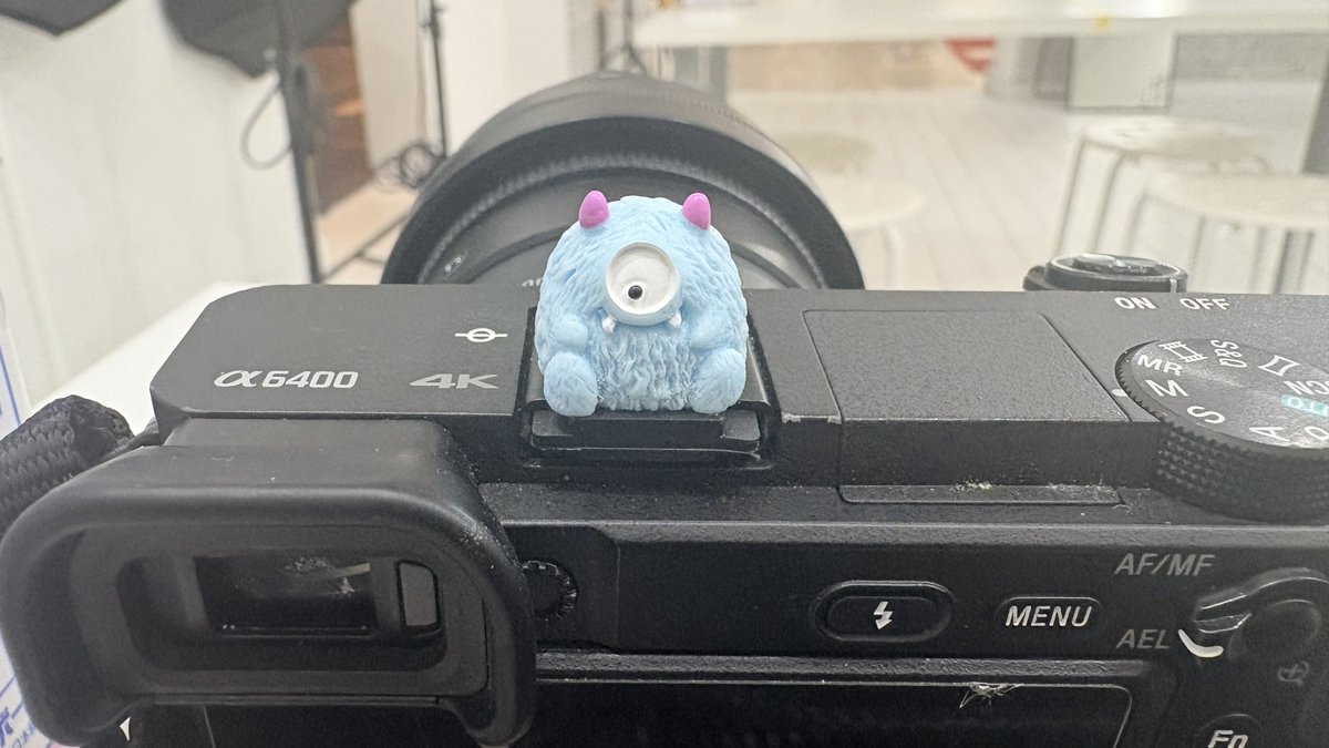 soyaphoto's tweet photo. こいつかわいい https://t.co/kcIjR6LA6u