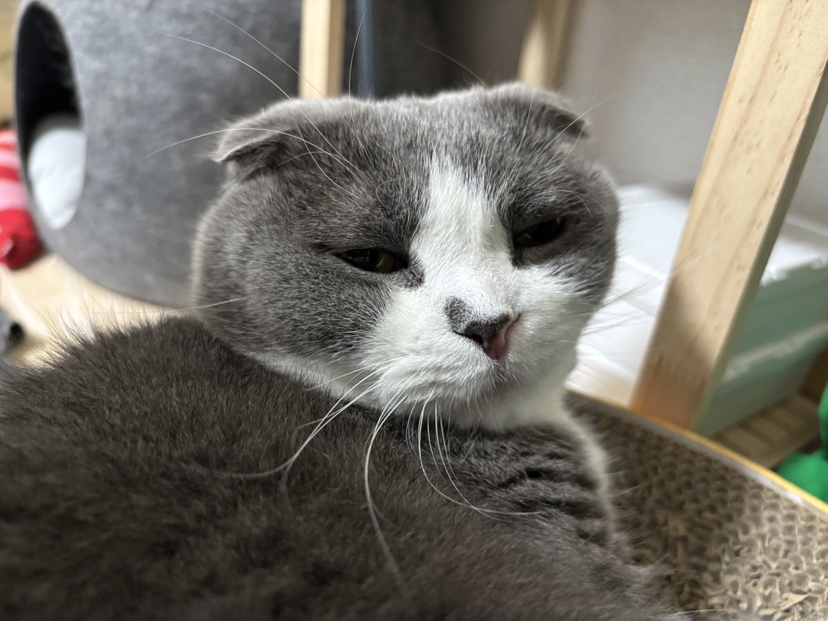 sunagimo_0117's tweet photo. なんですか？ https://t.co/ncTZCRvy1U