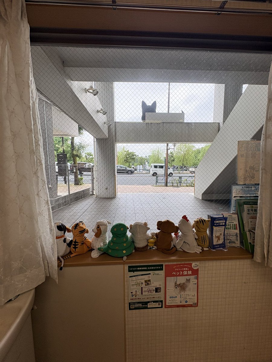 dorichan1's tweet photo. ずっとかかりつけの犬の病院が突然に閉まる事になった。困ったなぁ〜もう30年来お世話になってる、デジちゃんも先生いるのです飼っても安心してたのになぁ〜 https://t.co/KXhakruHfM