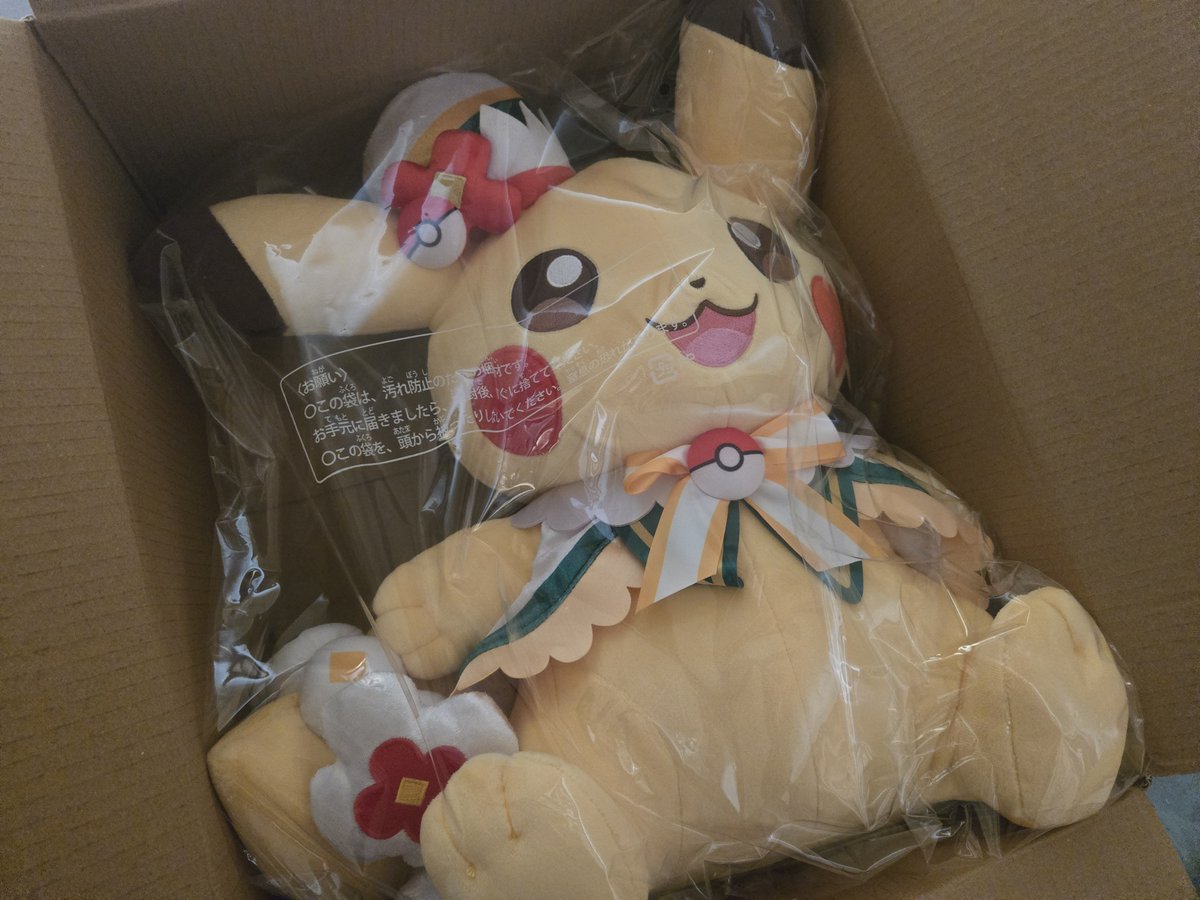 nemui725's tweet photo. ェ‼️‼️‼️
なんか昨日佐川から届くよ〜って通知来てて、ガチで覚えがなくてビビってたけど

Google Playのポケパークカントーのやつだった😭💓
ピカチュウ、デカ〜〜〜いかわいい、😍 https://t.co/L0P5ctc0b8