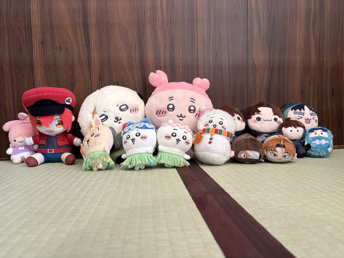 aimika_mama's tweet photo. ぬいぐる症！ぬいぐる症！（私と姉妹の旅行のお供たち） https://t.co/C2Qz4F1BRE