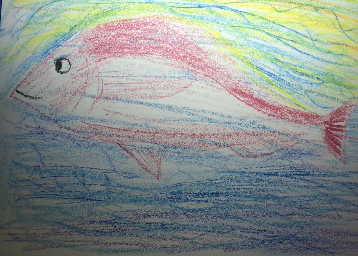 hironpa002's tweet photo. 金曜日のマダイ

#絵描きさんと繋がりたい 
#BorderlessArt
#DisabilityArt
#OutsiderArt https://t.co/YeIr4VUPl2