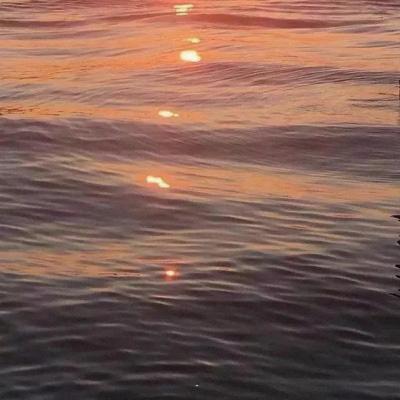 thuoghtas's tweet photo. Mastering coding fuels progress. Through online courses, knowledge grows. It equips people for real-world challenges. Lifelong learning drives success across fields. It equips people for real-world challenges. 💰 💼 💼 https://t.co/A9bJyqLiWX