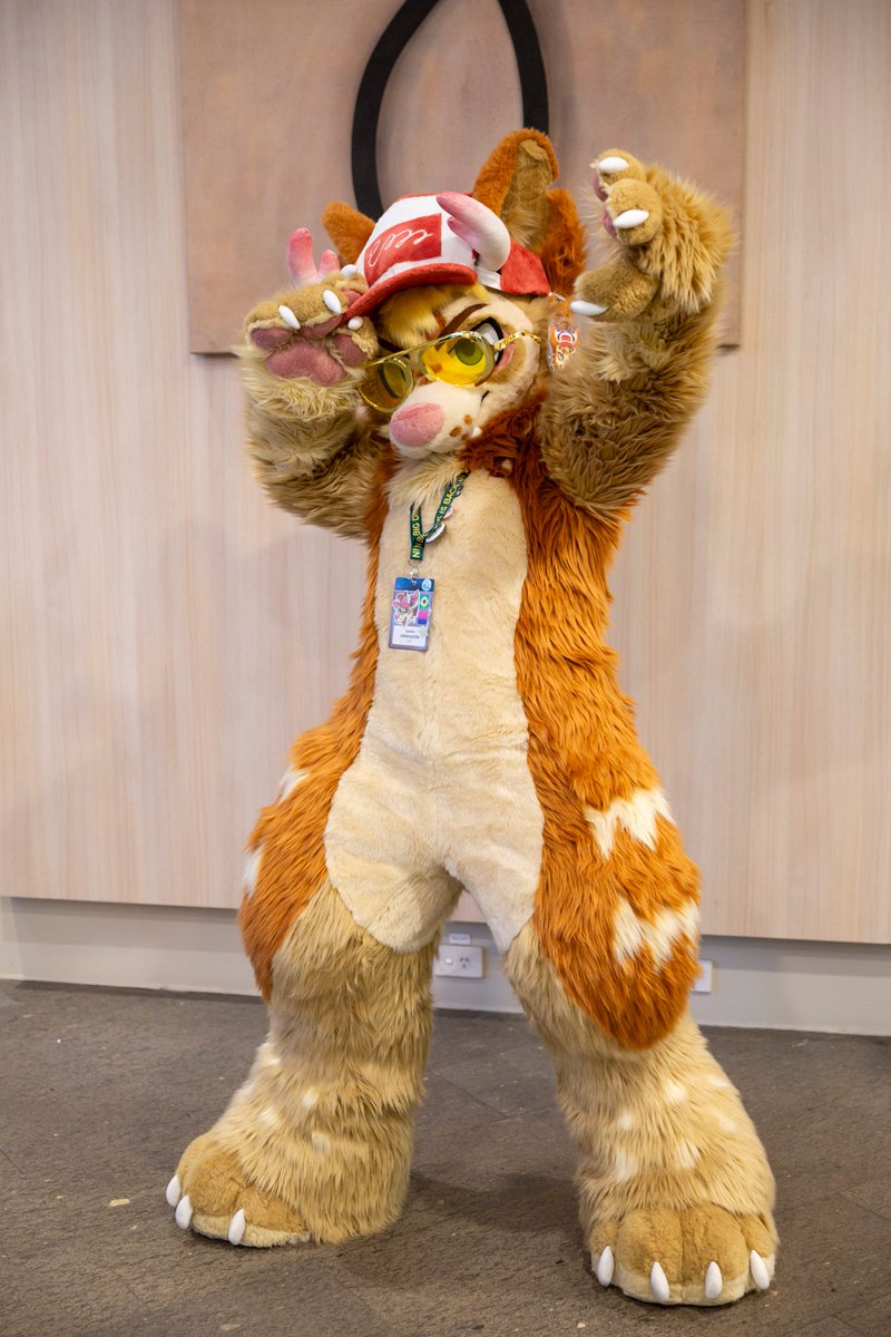 ˗ˏˋ PawFessor Yapsᶠᵒˣ ˊˎ˗ ➡️ BlueSky tweet media