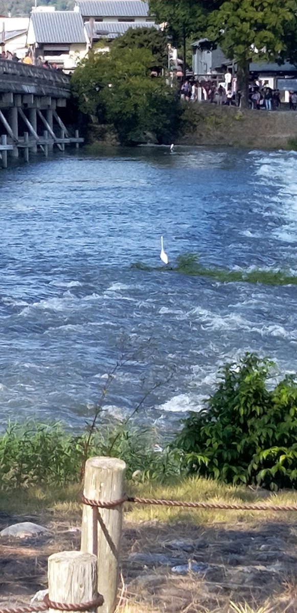 ochanomichi's tweet photo. 熊本地震

｢いま一番ほしいものはなんですか？｣という取材に
｢そうだな、、かき氷｣と
ニコッと笑って話すご年配の男性が健気で
切なく胸がしめつけられます

ただでさえ過酷な暑さのなか
ただただ、ご無事を祈ることしかできません

せめて、涼しい風が吹き、適度な雨が注がれますように🙏 https://t.co/oUha3vXtCH