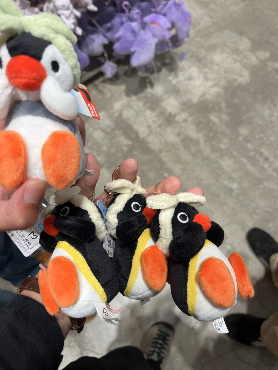namako780's tweet photo. みんなのお土産ピングーにしました
(韓国の) https://t.co/JF4D3h1nJC