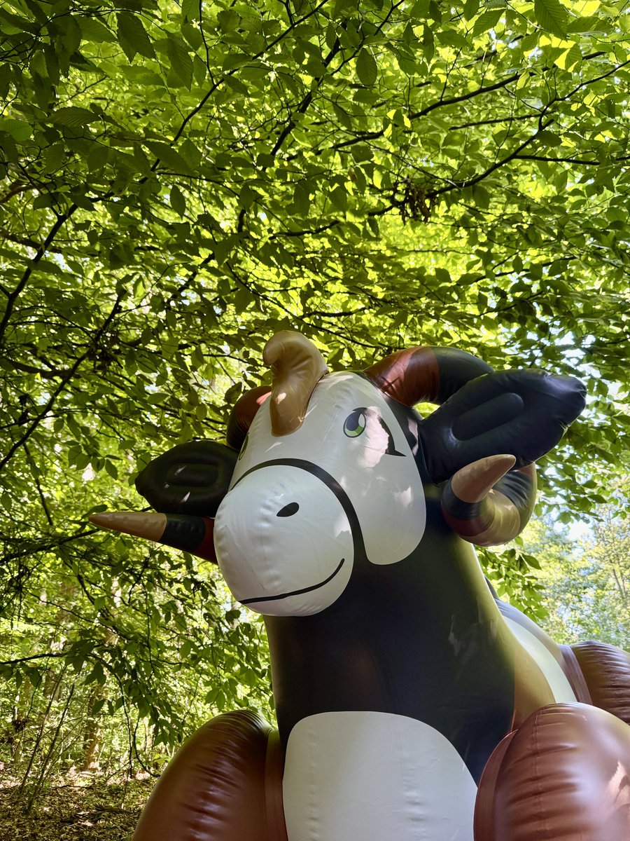 Chloe0905520's tweet photo. 🐐 Guess who’s exploring the forest today? 
Our giant Ram found the perfect trail. Would you follow along? 

https://t.co/OZ5BxgW75B

#Goat #InflatableAnimal #ForestAdventure #NatureLovers #JetCreations #OutdoorDecor https://t.co/G0CIDExZcE