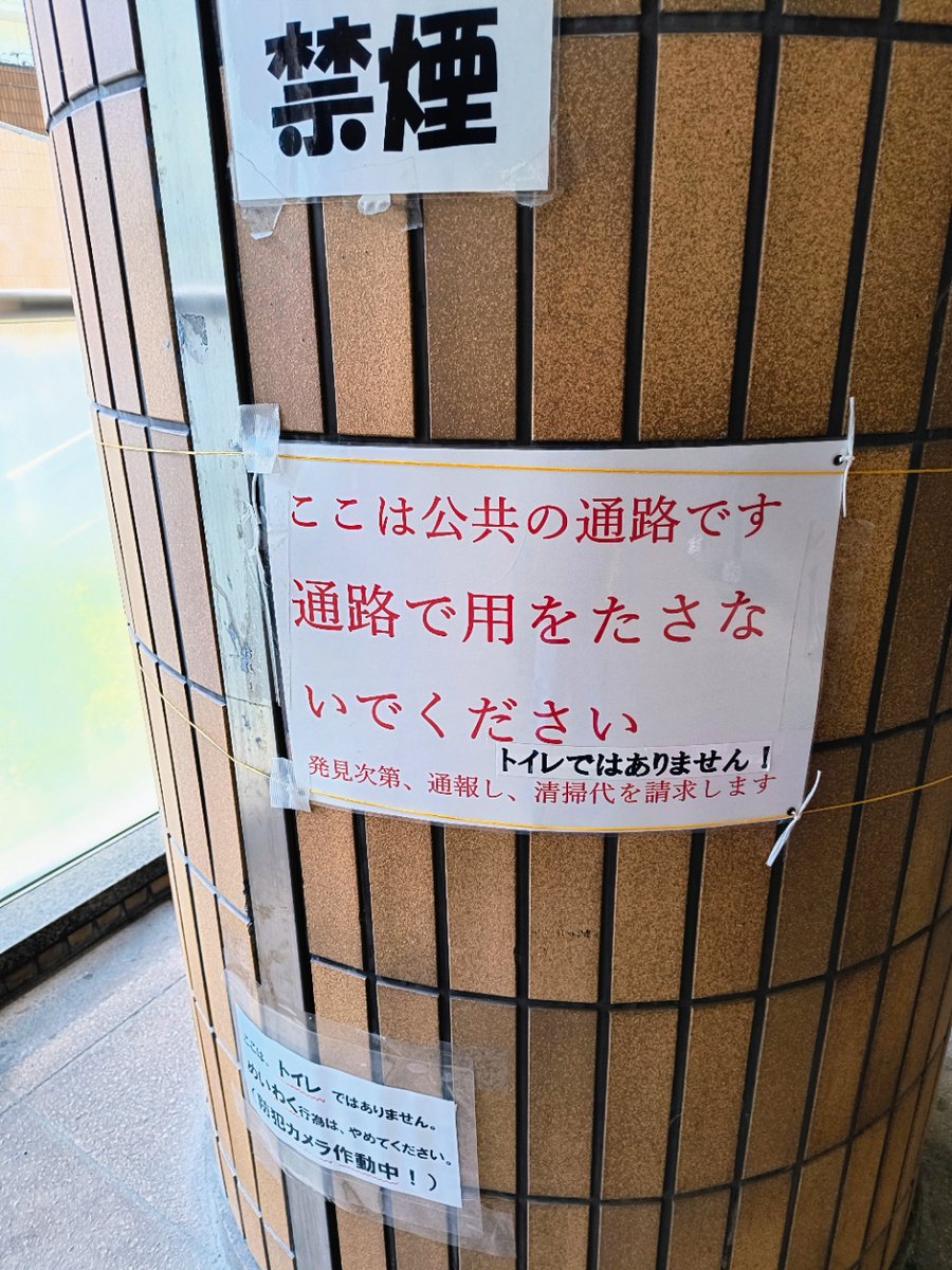 rredbed's tweet photo. 甥っ子の頼まれ事でイオンモール大日に来たよ
しょっぱなから軽いジャブを入れられた気分
通路挟んですぐ反対側にトイレあるのにどうして https://t.co/ufuEzlueqM