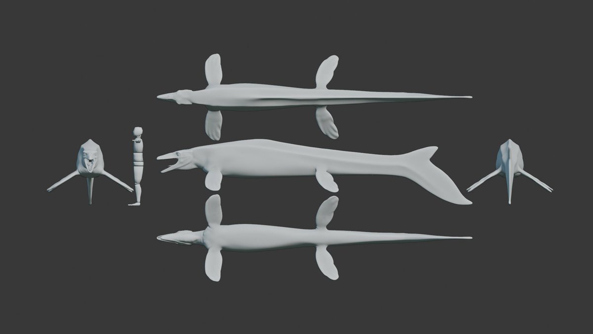Elemental93's tweet photo. Keeping this parade going, here's Megapterygius! A decently sized Mosasaur known from the Wakayama prefecture of Japan, it's named for large fins and is of particular interest due to a potential dorsal fin. With a wide head it may also have good binocular vision. https://t.co/y8UgVHMZfR