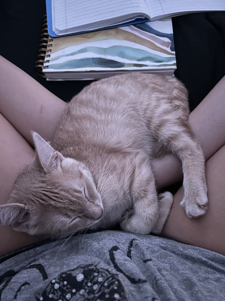 thaloxgrace_'s tweet photo. legally unable to move https://t.co/1umN1dh82H