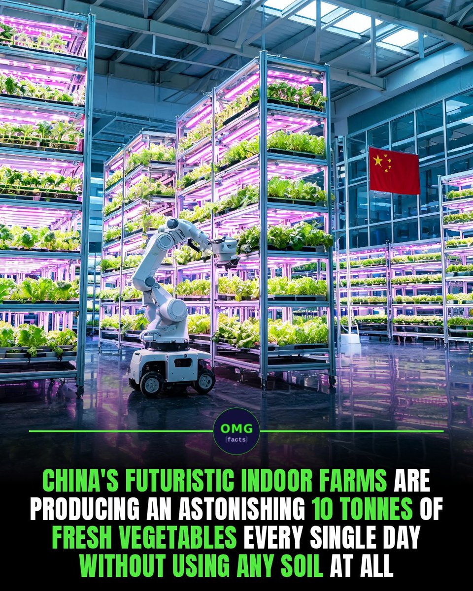 OMGFacts's tweet photo. 🥬 A 20-story farm grows 10 tons of veggies daily
In Chengdu, robots and AI run the whole harvest.
No soil, no seasons, no limits
Sources: SCMP, CGTN
#omgfacts #verticalfarming #China https://t.co/qYbW9KgKdA