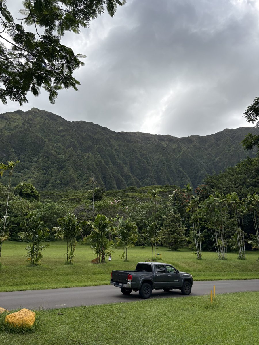 pulpnl's tweet photo. hawaii photo dump https://t.co/mwMEjoKFAf