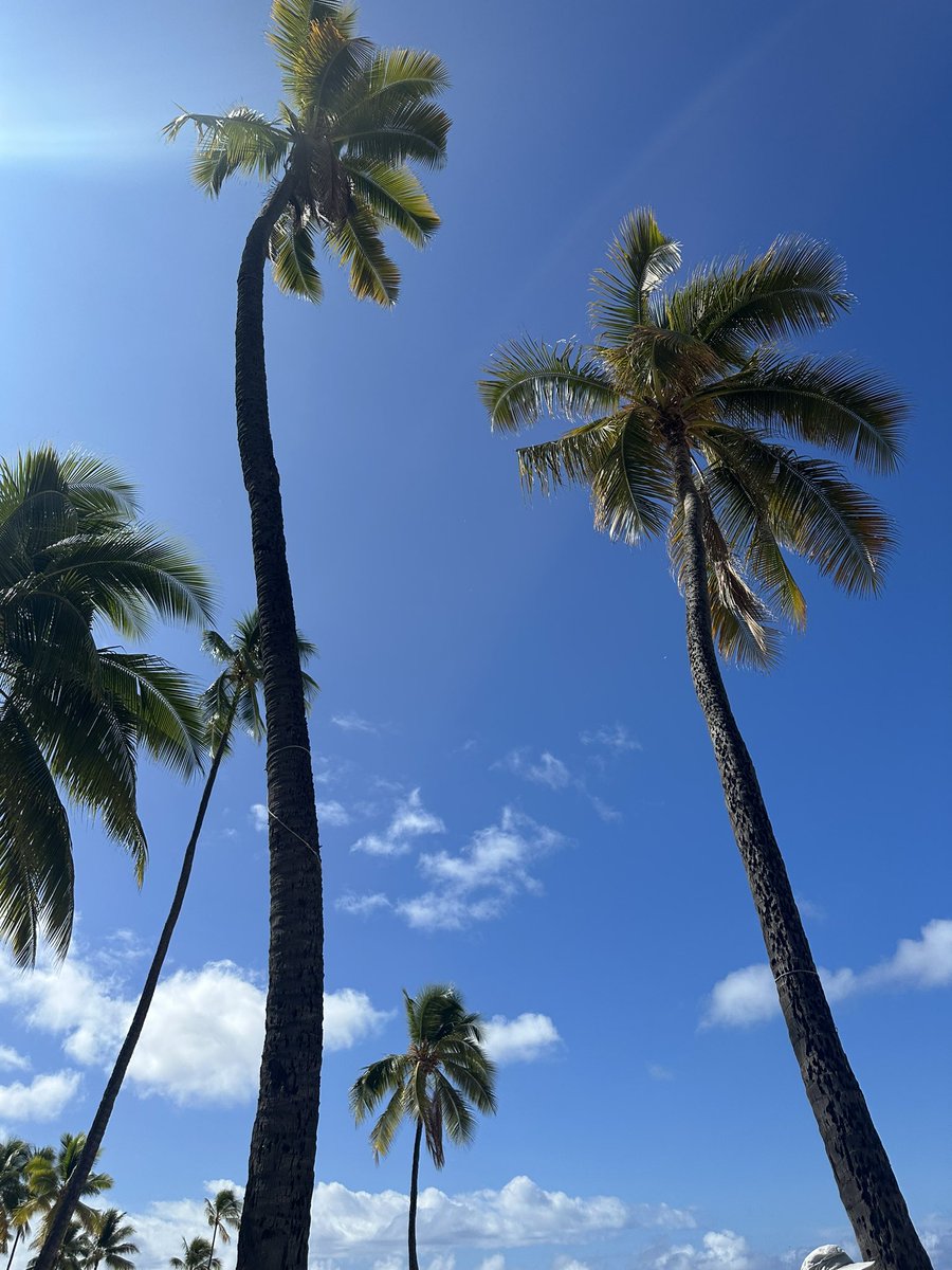 pulpnl's tweet photo. hawaii photo dump https://t.co/mwMEjoKFAf