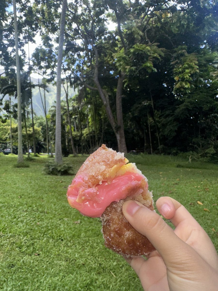 pulpnl's tweet photo. hawaii photo dump https://t.co/mwMEjoKFAf
