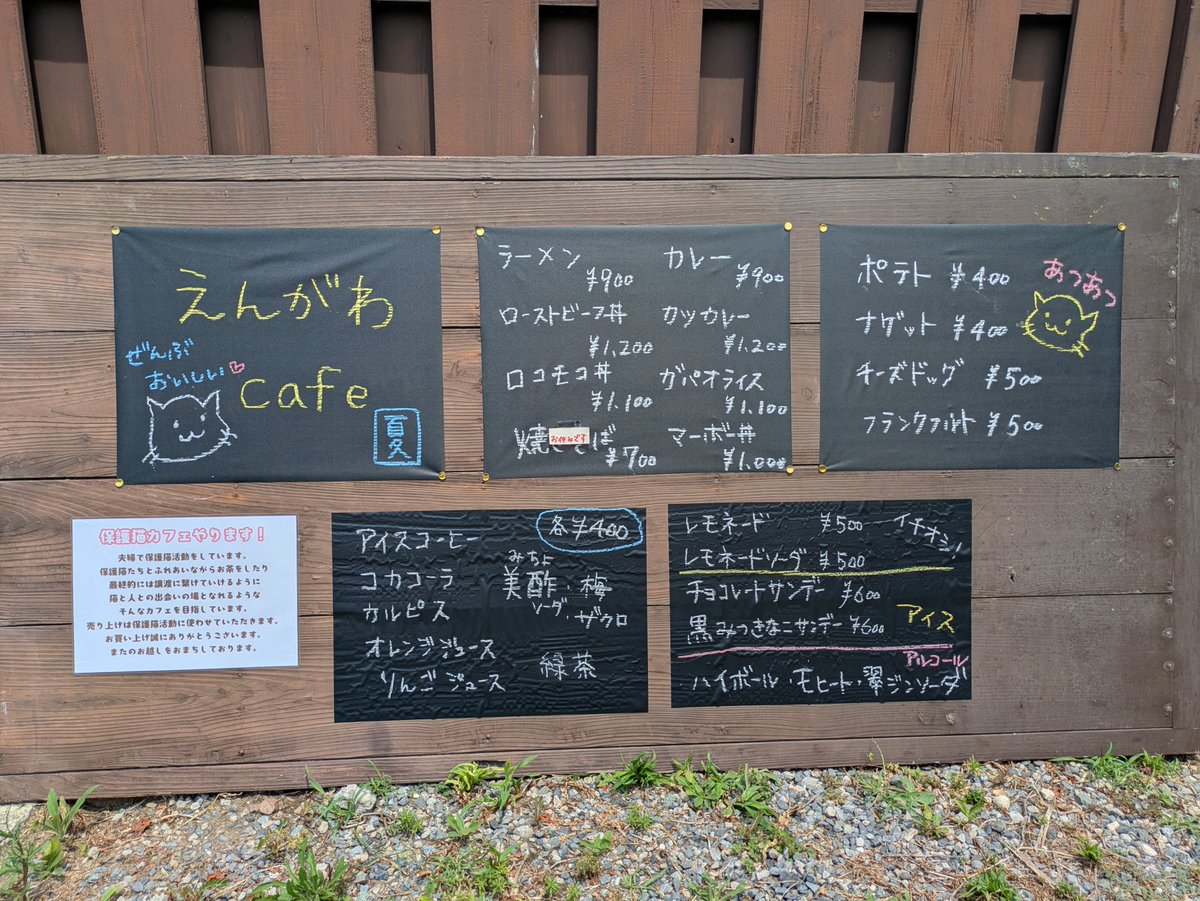 smile_engawa's tweet photo. 飲食店の営業許可がおりたので「えんがわcafe 夏🐾」OPENしました😺✨
外のお席が少々とテイクアウトになりますが、小土肥の海に来たときはご飯を食べに来てください🌊🏄️😽🥰
まだ古民家は改修工事中なのでにゃんズには会えないよ😽🙏w

僕たちのためにいっぱい食べてね😽✨ えんがわにゃんズ一同🐾w https://t.co/QAVBTMaeVl