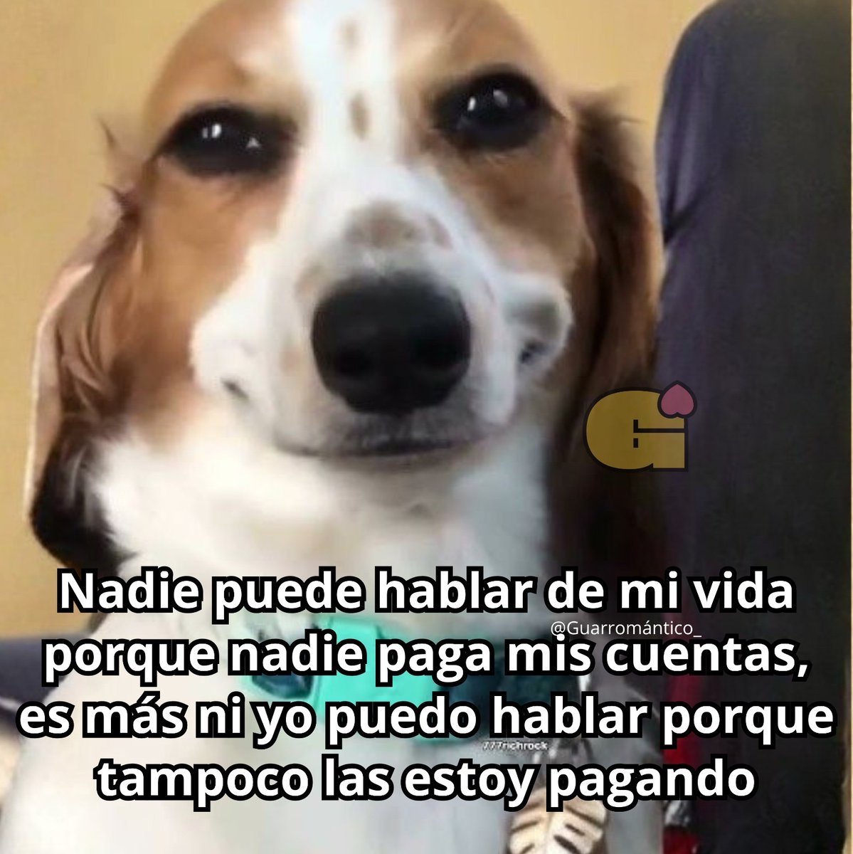 Guarromantico_'s tweet photo. Asies. https://t.co/LvYoJ5aIhG