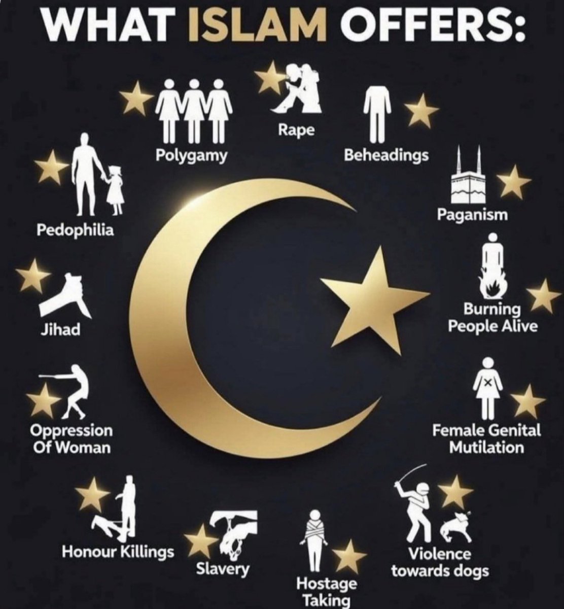 Crusaderkth's tweet photo. @LautreMonde_off @TruthFairy131 @elonmusk https://t.co/ob9lnHG1YU