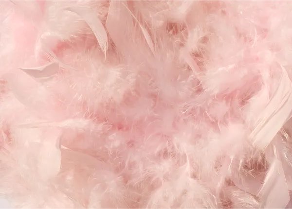 nhks27's tweet photo. お迎え用 https://t.co/ZwEuHeQxBt