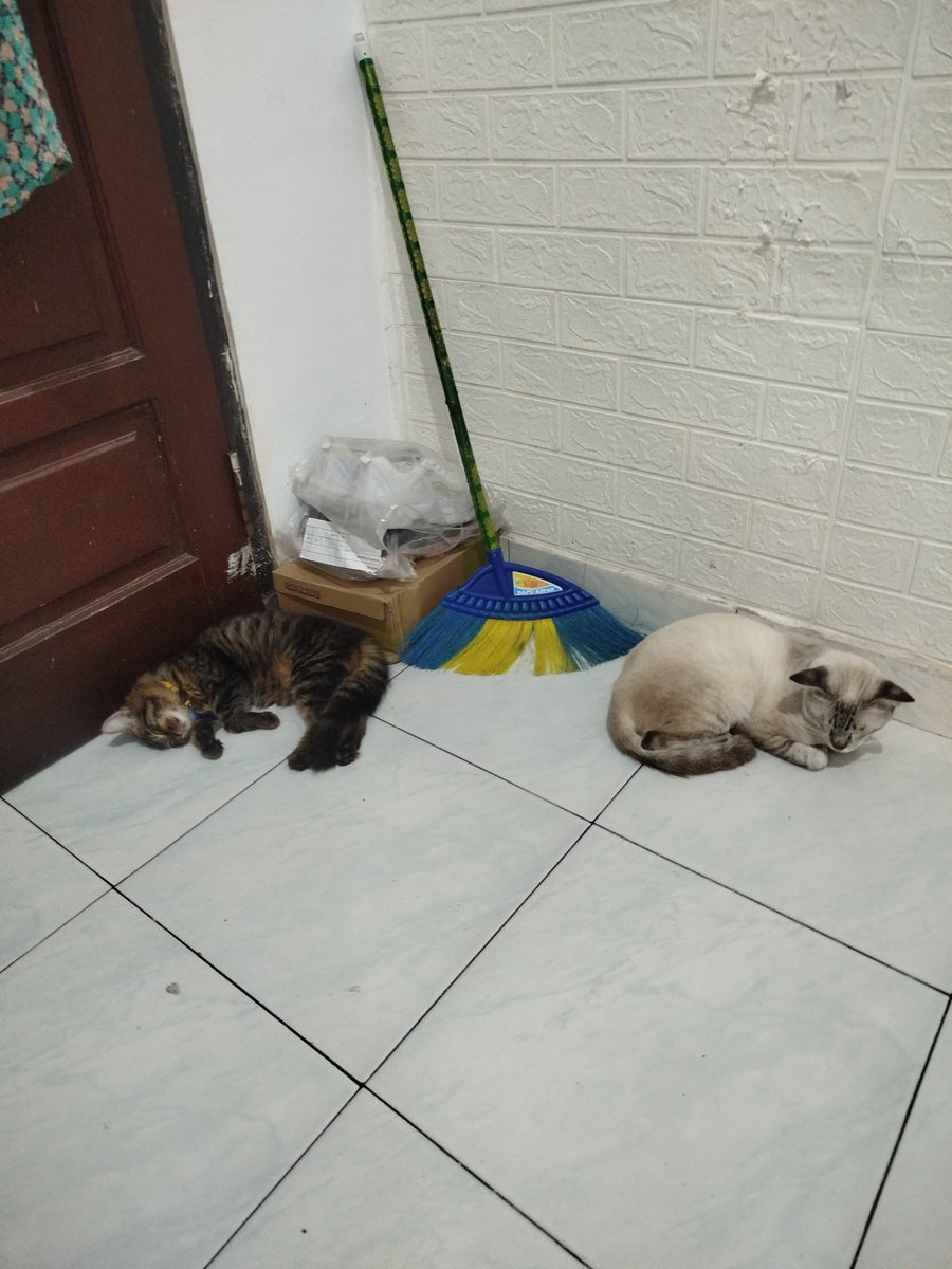 fleurallore's tweet photo. ga di toleh bentar udh gada suara 😁 https://t.co/dhmP2mmiXY