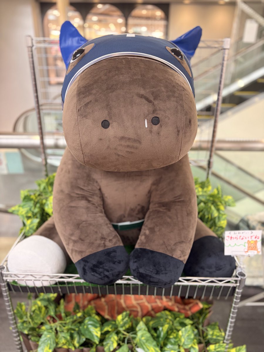 niigata_isetan's tweet photo. 新潟競馬場でお馴染みの「でかもっちファニキ」🐴が新潟伊勢丹に出張中‼️

新潟市 #にいがた2km 
JRA新潟競馬場と連携した取組を実施‼️🐴🐴🐴
#でかもっちファニキぬいぐるみ
にぜひ会いに来てください📸
#またしても何も知らない
#マイネルファンロン

■4階 紳士 エスカレーター脇
■8月31日(月)まで https://t.co/qRuVO3anAh