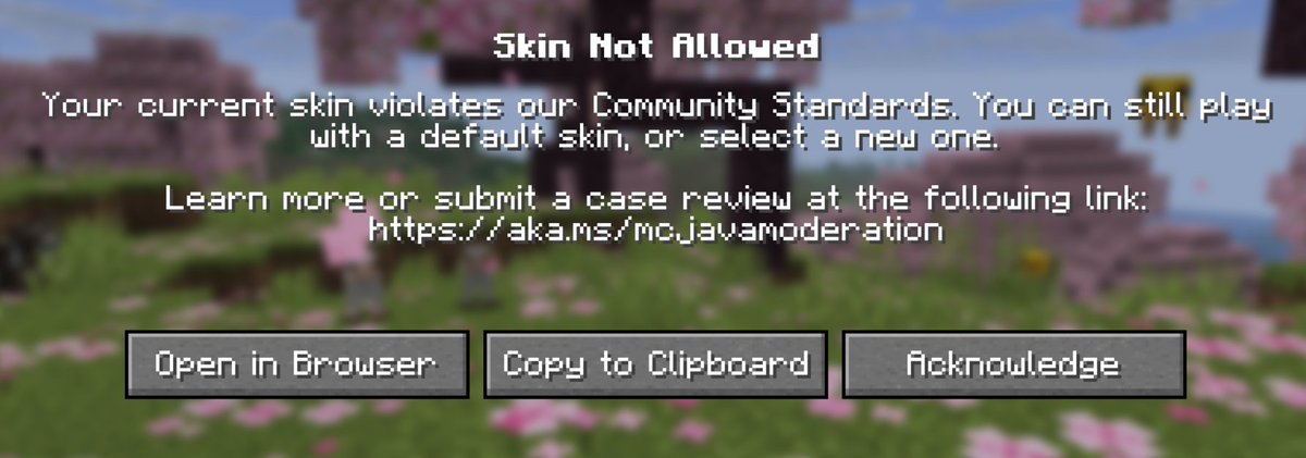 kylazmc's tweet photo. Mojang sucks because how has my skin gotten banned/disallowed??? https://t.co/TXasv5EOsT
